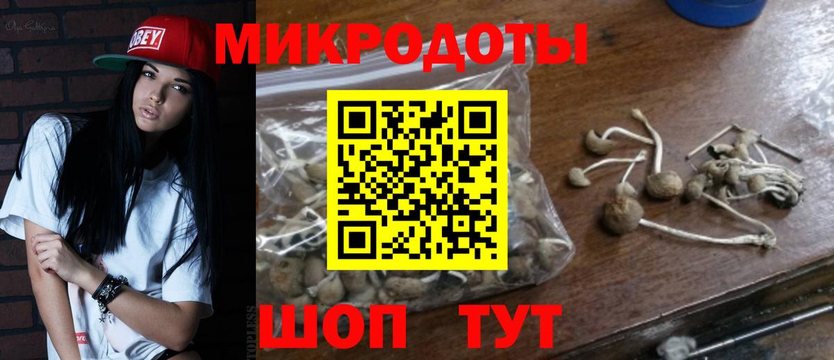 Псилоцибиновые грибы мицелий Унеча