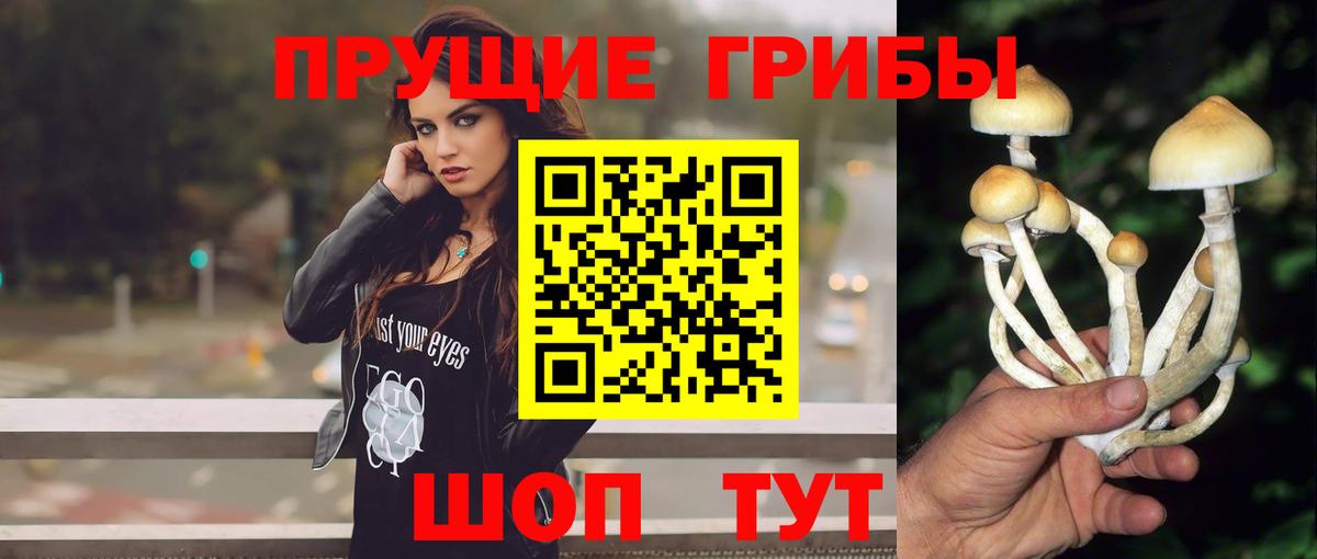 Галлюциногенные грибы мицелий  Вход с VPN  Унеча 